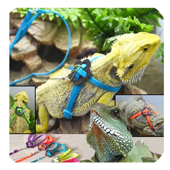 Reptile | 524 Adjustable Reptile Lizard Turtle Harness Leash Set Safety ...